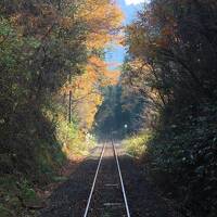 紅葉の芸備線に乗って備後落合駅から比婆山温泉へ　駅から歩いて温泉vol.4