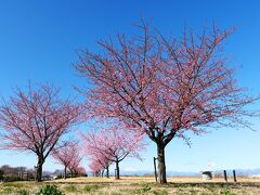 伊勢崎市