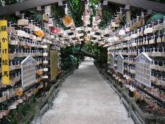 九州縦断の旅@2024 Day1 霧島神宮～鵜戸神宮～青島神社を巡る南九州ドライブ