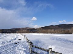 【北海道】 タンチョウ鶴は朝、たくさんいるそうです 【後編】