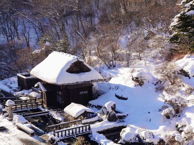 　転勤のため４月からＪＲ東日本管轄外に住むこととなったので、「どこかにビューーン！」ラスト・ガチャを回しておきました(^^)<br /><br />　行き先候補駅の組み合わせは長野、郡山、山形、秋田で、秋田ビューーンを熱望してガチャりましたが、結果は第４希望の郡山駅に…(^_^;)<br /><br />　郡山を起点にして、会津若松＆喜多方方面へ足を延ばすか？海鮮を求めていわきへ繰り出すか？色々と考えた末に、郡山駅から１つ先の福島駅へ課金ビューーン！することにしました(^^)<br /><br />　ということで、今回の旅のテーマは「福島市の名湯秘湯巡り湯活旅」です(^^)<br /><br />　それでは御覧下さいませm(_ _)m<br /><br /><br /><br /><br />