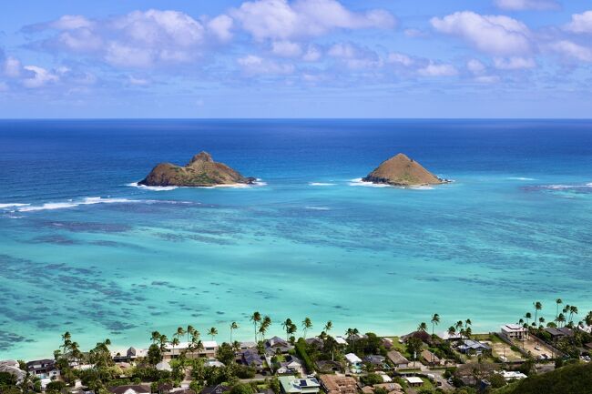 2024年最初の海外旅行は、ハワイ！<br />本当に久しぶりのハワイです。<br /><br />ハワイ旅行なんて、まだまだ先かと思っていたけど、<br />2023年11月のANAのセールで見つけてしまった往復フライングホヌ利用のお得な運賃。<br />これはチャンスと急遽購入。<br /><br />物価やホテル代の高騰、円安と大変な中ではありますが、<br />そんなモヤモヤを吹き飛ばしてくるほど、やはりハワイは最高でした！<br /><br />3泊5日の短い滞在でしたが、ワイキキ・ダウンタウン・カイルアと、自然や街並みを満喫できた、<br />充実した旅行となりました。<br /><br />１日目：フライングホヌでハワイへ。ワイキキ周辺を散策<br />２日目：ダイヤモンドヘッド登山。ダウンタウン・カカアコ観光<br />３日目：カイルア観光<br />４日目：早朝KCCファーマーズマーケット、フライングホヌで帰国へ（５日目：日本到着）