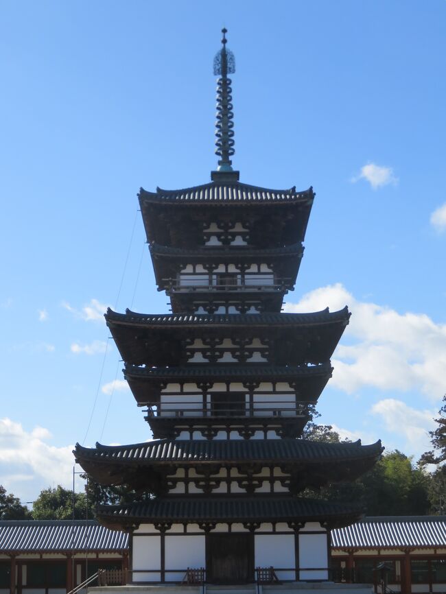 奈良旅行第一日目は、奈良市内ではなく西ノ京を散策。<br />薬師寺と唐招提寺を訪問。両寺は徒歩でも充分の距離なので一度に訪問できます。<br />薬師寺は東塔が素晴らしかったなあ。<br />唐招提寺は鑑真和上像は本物ではなかったが、和上の業績に感動しました。<br />西ノ京めぐりの後は奈良市内に戻り、美味しい中華をいただきました。