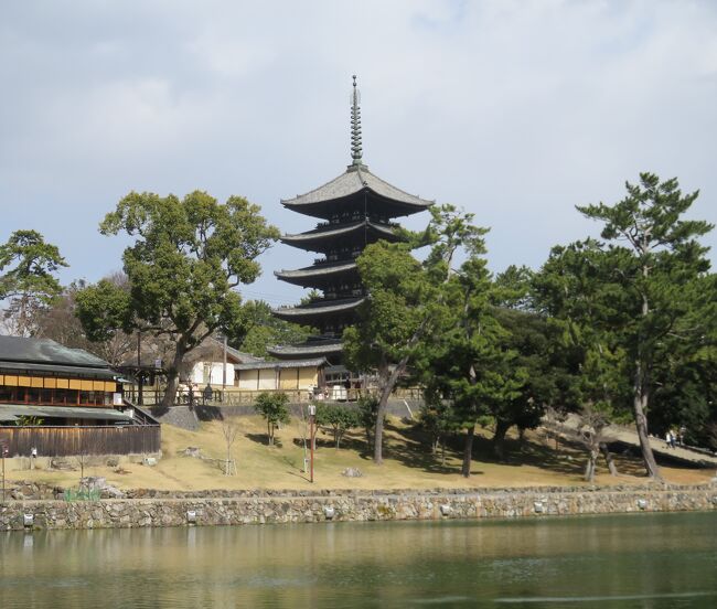 二日目の奈良は西大寺、新大宮、近鉄奈良そしてあをによしで京都へと、近鉄乗りまくりの旅でした。<br />亀の井ホテルに泊まりましたがヌルヌルの弱アルカリ塩泉で気持ち良かった。<br />食事もまあまあ美味しかったです。<br />西大寺や釜飯の志津香、興福寺に春日大社とちょっと忙しい旅ではありましたが、最後は観光特急あをによしで締めくくりました。