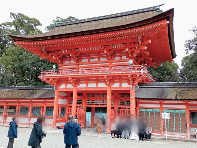 真冬の京都旅最終日は辰年にふさわしく、龍脈を巡ってみよう。<br />正月特番の博士ちゃんでやっていた、水の神の総本山貴船神社の祭神と同じ高龗神(たかおかのかみ、龍神様)が祀ってある上賀茂神社摂社の新宮神社が辰年に因んで、今年は土日、祝日に開放されている。<br />実は貴船神社は明治まで上賀茂神社の摂社で、格式としてはこちらが上なのでは？<br />それに高龗神って下鴨神社の中にもあるよね？　<br />こっちは無茶苦茶空いてますよ。又、こんな事言ってしまう私。<br /><br />真冬に1日かけて貴船まで行きたくないし、上賀茂神社、下鴨神社は京都で最も古い神社で格式も高い。<br />元は上賀茂神社も下鴨神社も1つの賀茂社でしたから、ペアで周ります。<br /><br />久々に参拝しましたが、以前からは想像できないくらい混んでました。