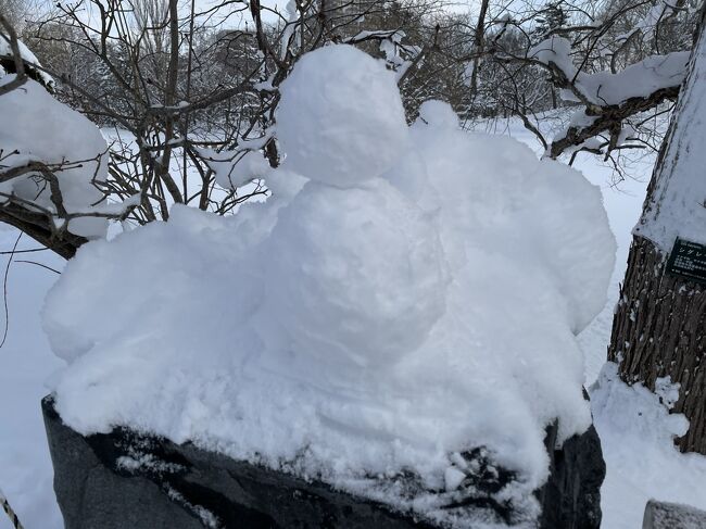 前回のつづきからです。<br />食べて寝るだけも不健康だしもったいないので、雪の中を散歩しました。<br />それがまた疲れてしまい、その後の食事は初日の半額くらいしか食べられなくなり、ホテルに戻ればお酒も進まず寝てばかり、ご飯の時間だけ部屋を出るという旅行にはもったいないくらいの行動をしていました。<br />まぁ健康が一番ですが、旅行を続けていればたまにはこんな時もありますかね。。。