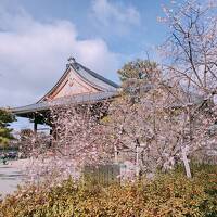 京都でラウンジ・大浴場付きホテルに泊まる その３「朝食・妙蓮寺」