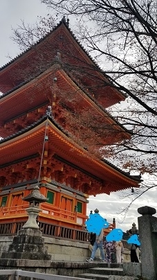 師走に恒例の家族旅行。<br /><br />なぜか師走。<br /><br />師走になると・・・うずくから(笑)<br /><br />行先は主人の希望で京都になりました。<br />