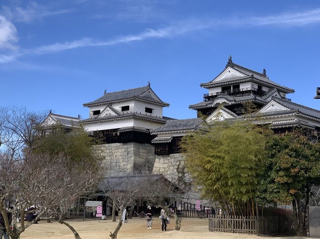 お城巡りがしたいと思って計画した愛媛旅行の最終日、３日目です。<br />レンタカーは返却済みで、松山市内泊なので徒歩で観光します。