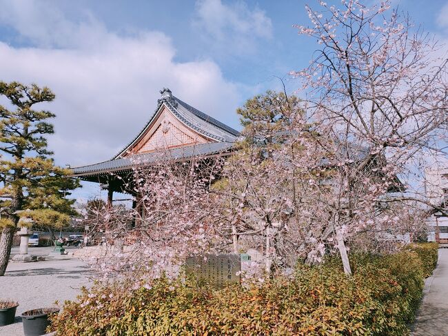 京都でラウンジ・大浴場付きホテルに泊まる その３「朝食・妙蓮寺」