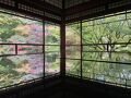 絵画のような紅葉を求めて京都へ！