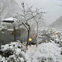 奥飛騨で雪の露天風呂を堪能する旅(穂高荘山のホテル、ANAホリデイイン信濃大町くろよん)