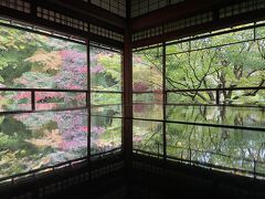 絵画のような紅葉を求めて京都へ！