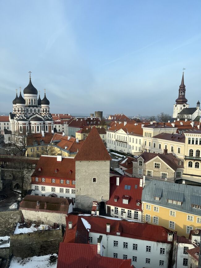 HIS　バルト三国周遊８日間の旅の記録<br /><br />「生きた中世の博物館」とも呼ばれるタリンの歴史地区を、自由散策して楽しみました。1997年に世界遺産に登録されています。<br /><br />　リトアニア、ラトビア、エストニア三国とも、それぞれの特徴があって、来て良かったと実感。ウクライナ戦争がどう決着するかで、行けなくなる可能性が高い国々。なにせロシア内務省は、エストニアのカーヤ・カラス首相、リトアニアの文化相やラトビアの法相などを指名手配しています。また、ナワリヌイ氏の側近だった人がリトアニアヴィリニュスの自宅て襲撃され怪我をしました。<br />　<br />　気候的には、バルト三国の1月の平均気温は、マイナス10℃位。暖冬の影響なのか、今回は寒くても2、3℃で、小雪や小雨はあったものの観光するには問題なかったです。めちゃめちゃ忙しいけど、いろいろ入場観光したい場合は、24時間の「タリンカード」を買うのもありだと思います<br />　<br />　ドリンク代もクレジットカードで支払えます。場所によってはお釣りがないから、クレジットカードにしてと言われる位キャッシュレス化が進んでます。ユーロへの両替は最小限でいいと思います。<br />　空港での免税手続きが窓口だったので、商品は手荷物にして準備しておいた方が良いです。<br /><br />------スケジュール-------<br />7-8日目<br />午後３時までフリータイム<br />タリン→ワルシャワ→成田<br /><br /><br />