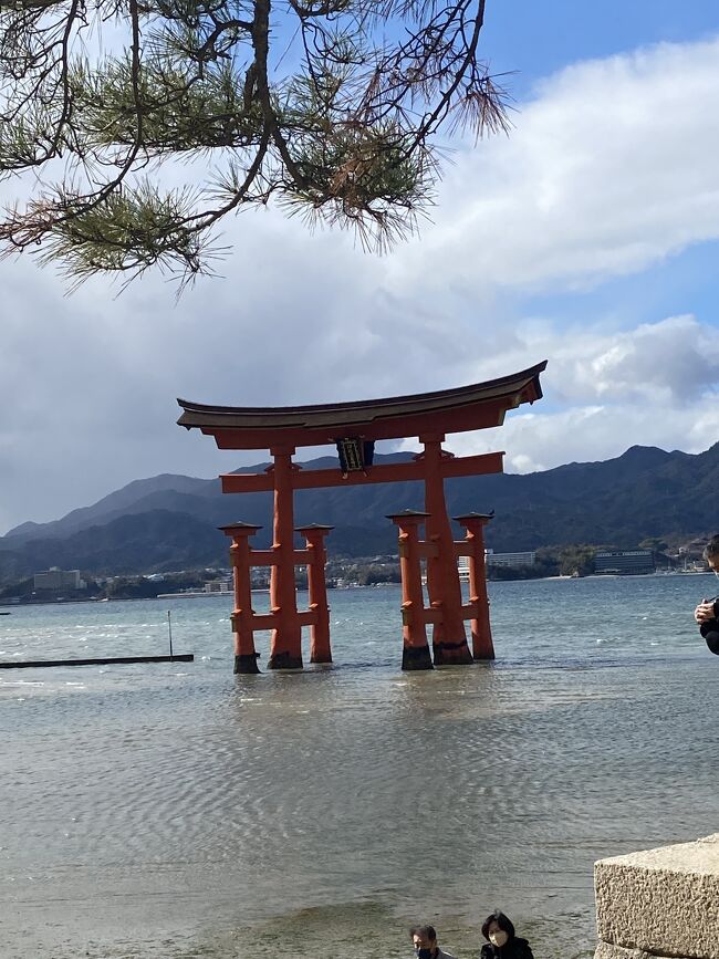 J社のツアーで広島、山口、島根の3県を2泊3日でまわりました。ツアーならではの超過密スケジュール。<br />楽しみは多いけど疲れもそれなりに。<br />コロナで旅行から遠ざかっていたので計画が面倒になり、いろいろ連れていってくれるツアーに参加。<br />歴史の勉強を再度したくなるような旅でした。<br />旅の思い出として、iPhoneでいいかげんに撮った写真なのであしからず。