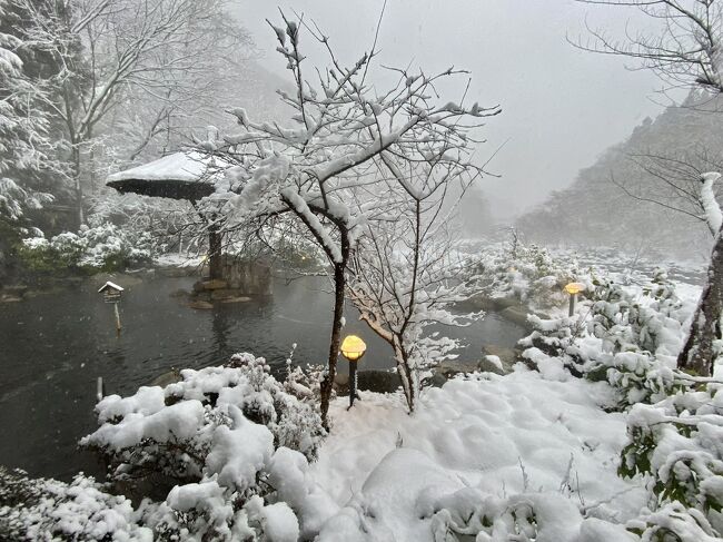 奥飛騨の「穂高荘山のホテル」開放的な雪の露天風呂を堪能させていただきました。<br />義理の姉が九州から来て期待通りの雪の奥飛騨を堪能でき喜んでました。<br />大雪の中を歩いて見に行く凍った平湯大滝も圧巻でした。<br />翌日は足湯と雪で真っ白の大出の吊橋公園からの白馬三山の絶景も楽しめました。<br />雪に恵まれた冬景色を十分に堪能でき、おかげさまで良い旅ができました。