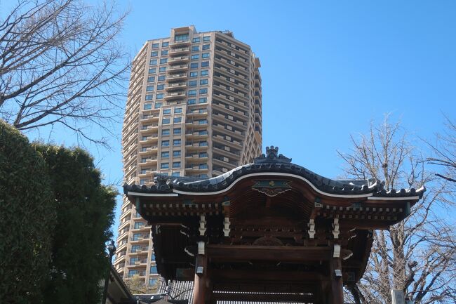 麻布十番を散歩しました<br /><br />【表紙の写真】麻布山善福寺勅使門と元麻布ヒルズ