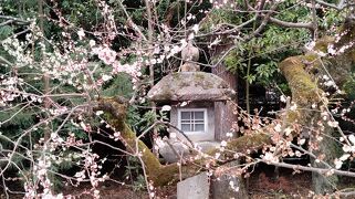 冬京都　ばぁば徘徊の旅③ 　北野天満宮　嵐山