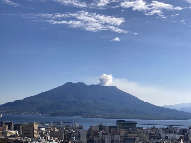 旅のキロク　<br /><br />温泉あり、美食あり、よいホテルありの鹿児島<br /><br />１５年前に初めて行って気に入り、その後毎年のように出かけています。<br />鹿児島が故郷の友人に、自分たちが里帰りするより回数が多いと呆れられます。<br /><br />今回は２泊３日ゆったり滞在できました。<br />鹿児島は美味しい食べ物がありすぎ。<br />今回は黒豚しゃぶしゃぶのいちにいさん、焼き鳥屋、焼肉屋などいつも訪問する店には行けませんでしたが、城山ホテルで美食三昧を楽しみました。<br /><br /><br />