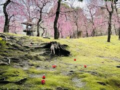 京都旅行記 2