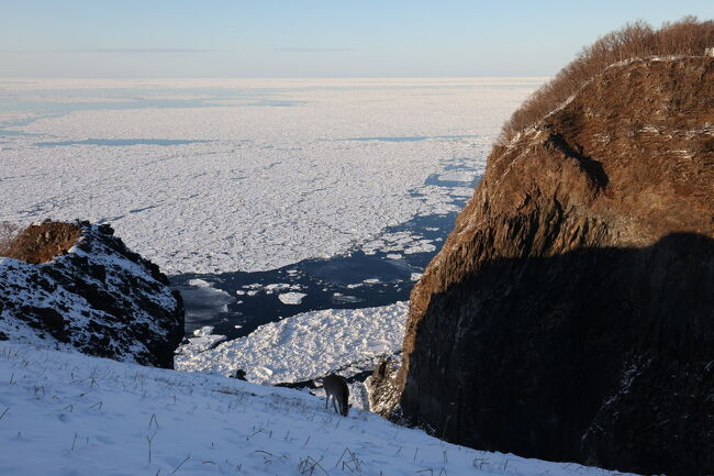 流氷を求めて、冬の北海道！マイナス15℃ 厳寒の中 網走～知床～釧路　激走500km!