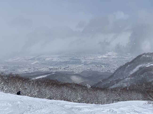 先月の美瑛富良野旭川に続いて、札幌小樽に行ってきました。<br />3月は初めての北海道で、関東では既に春の陽気でしたが、<br />やはり北海道、先週は暴風雪やホワイトアウトで天候が心配されました。<br />なお、エリア厳守のため、時間は正確ではありません。<br />まずは札幌編です。<br />羽田空港～新千歳空港～出発ロビー～ＳＮＯＷゲット～生ノースマンゲット～<br />札幌駅～ホンダレンタカー～円山動物園～ベッセルホテルカンパーナすすきの～信玄～旭山記念公園～サウナ3セット～朝食バイキングサケイクラ丼2杯～テイネスキー場