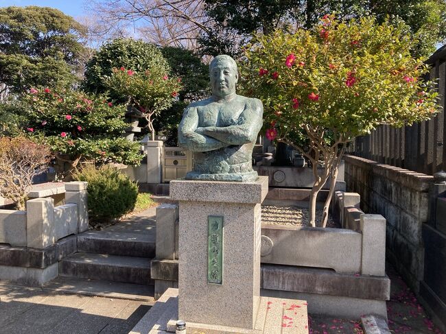 大田区内で一仕事を終え、お昼休みを活用して池上本願寺をさくさくっと参拝しました。