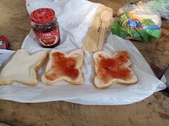 第10回　島めぐりサイクリング（NZ/北島East land編）2024年2月26日　9/14