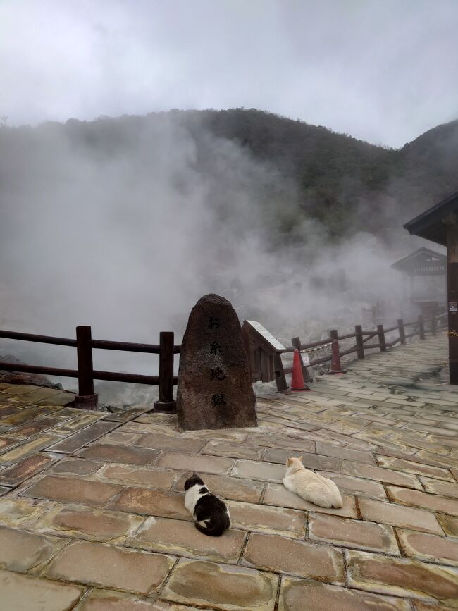 以前から行ってみたいと家族で話していた佐賀と長崎に連休を利用して行くことにしました。佐賀の目的は唐津の活イカ、長崎は軍艦島です。<br /><br />旅程<br />2/11 NH981 HND9:20-HSG11:25<br />2/13 NH666 NGS13:50-HND15:20<br /><br />宿泊<br />2/11 唐津シーサイドホテル<br />2/12 雲仙温泉 東園<br /><br />軍艦島を見終わって、宿泊する雲仙温泉に向かうところからです。