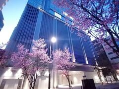 ’２４　東京さんぽ　日本橋２（皇居～金子半之助本店～芋屋金次郎～おかめ桜通り）