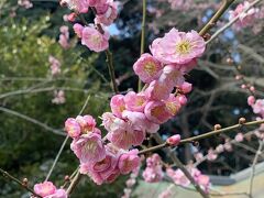 日本100名城・水戸城　偕楽園