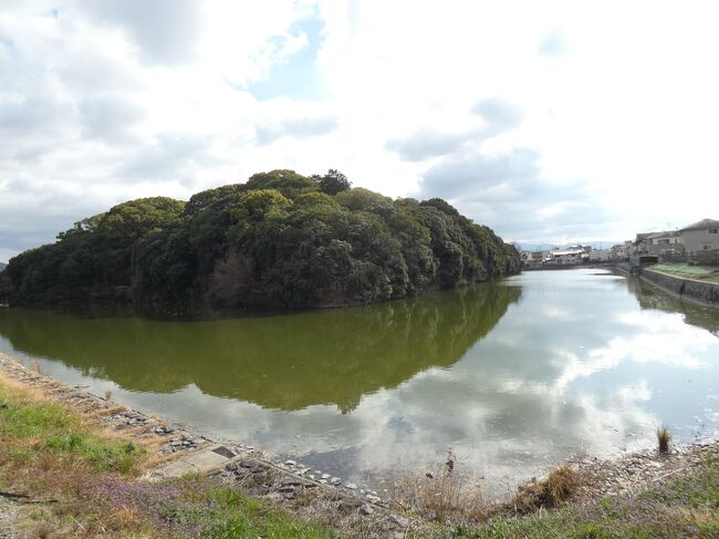 2023年1月18日は昨年12月21日に続いて世界遺産百舌鳥・古市古墳群の古市古墳群を近鉄南大阪線古市駅よりスタートして、駅の東側に鎮座する日本武尊を主祭神とする白鳥神社を参拝して、古市古墳群の最南端に位置する第27代安閑天皇陵古墳が墳丘長122mの前方後円墳→日本最古官道・竹内街道沿いにある濠に囲まれた日本武尊の墓と伝わる美しい白鳥陵古墳、墳丘長200mの大型前方後円墳です。次に墳丘長115mの前方後円墳・第22代清寧天皇陵古墳、横には墳丘長46mの陪塚・小白髪古墳が有ります。→墳丘長96mの峯ヶ塚古墳、古墳を中心とした市民憩いの公園となっています。そこから大阪外環状線を北上すると池に挟まれた第24代仁賢天皇の墳丘長122mの前方後円墳と野々上埴輪窯跡群が待ち受けています。→小さな古墳群を過ぎると古市古墳群で3番目の大きさの第14代・仲哀天皇の墳丘長245ｍの前方後円墳が濠に囲まれた美しい姿であります。→渡来系氏族にゆかりの辛国神社から真言宗御室派の葛井寺をお参りして藤井寺駅より帰りました。体にも良いウオーキングコースですね。