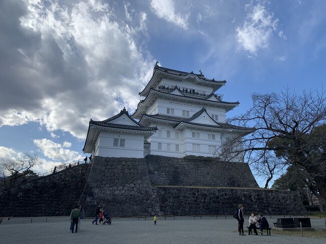 神奈川県内唯一の日本100名城、小田原城。<br />親戚のお見舞いで近くまで行ったので寄ってきました。<br />先日行った山中城、石垣山城と一緒に見る予定が時間が押してしまったので後から行くことになりました。
