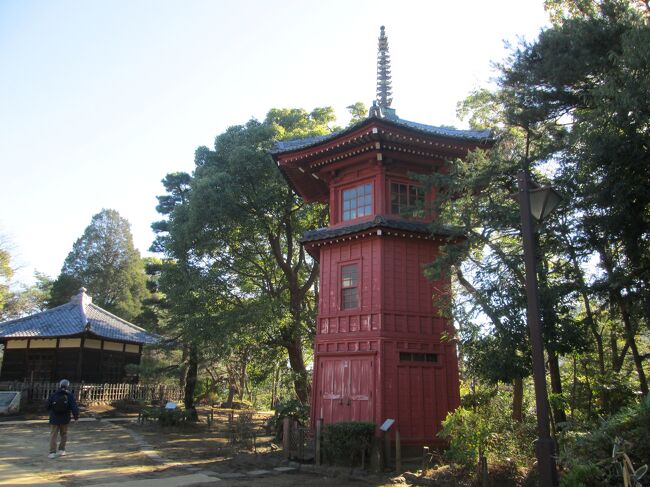 中野散策(2)新井・松が丘・沼袋 東京都中野区 全行程 5時間16分 中央線中野駅~(お犬屋敷・四季の森公園)~(38分)北野神社新井(3分)~(13分)梅照院(9分)~(15分)哲学堂公園(1時間12分)~(15分)蓮華寺(12分)~ (26分)東福寺(7分)~(9分)江古田氷川神社(7分)~ (32分)貞源寺・正法寺・久成寺・密蔵院・明治寺(25分)~(9分)禅定院・沼袋氷川神社(21分)~(3分)西武新宿線沼袋駅 <br />「日時」2023年1月4日<br />「アクセス」中央線中野駅<br />