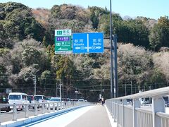 前日開通した富士川かりがね橋を渡って来ました 2024.03.10