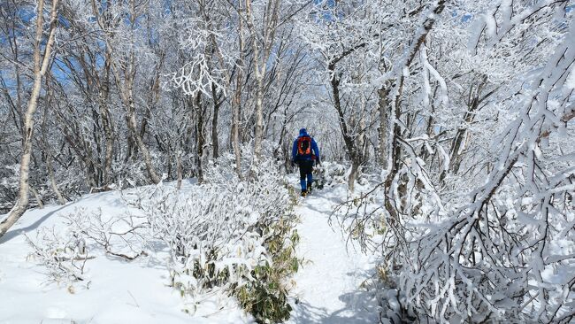 1月に予定していた山行がキャンセルになり、結局1月は山に行けずじまいになった。<br />この時期だから雪山を歩きたくて、ひねり出した候補地が「赤城山(黒檜山)」。<br />2022年の秋に登った山だ。<br /><br />https://4travel.jp/travelogue/11785676<br /><br />冬季も多数の登山者がいる易しい雪山というわけで、ここに決定。<br />前回同様、前泊して朝一から登ることに。<br />幸い天気にも恵まれ、爽快な雪山歩きとなった。