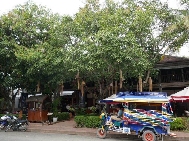 2024年1月　ラオスとベトナムの旅2　マイペースでルアンプラバンの街歩き　Luang Prabang