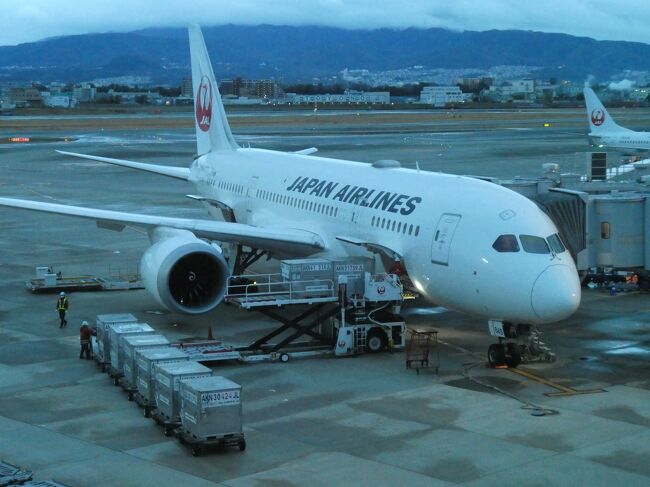 2024年3月　JL102 伊丹(ITM)ｰ羽田(HND)線 JAL国内線ファーストクラス搭乗記～JALファーストクラスラウンジ。<br /><br />約9か月ぶりの海外へ。<br />2023年6月に元々予定してたパリまでの特典航空券でファーストクラスに行く予定でしたが、アメリカ・アナハイムでメジャーリーグ観戦とパリの両方と思っていたが、却下されてアナハイムに変更して帰国後、後々ファーストクラスにしておけばよかったと後悔。<br />その後、ファーストクラスでパリまたはロンドンへ行く計画を検討していたが、2都市以外に行きたかった都市があり、搭乗機も乗りたいと思っていた機材だったため、こちらの都市に変更していく事に。<br />日程は、2024年のいくつかの候補があり、色々と日程変更したが、最終的に2024年3月1日からの日程に決定。<br />まず1区間目は、出発地の大阪（伊丹）国際空港からJAL102で東京（羽田）国際空港へ。<br />2区間目は東京（羽田）国際空港からの目的地はどこへ。