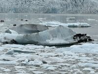 2023年夏　火と氷の国を満喫　アイスランド13日間　その５　南部と氷河湖