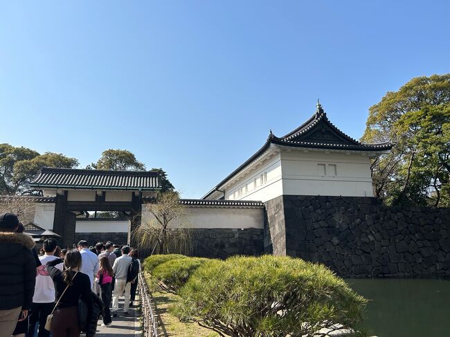 丸の内静嘉堂文庫で岩崎家のお雛様展を鑑賞しました。二子玉川にあった頃より便利になりました。<br />三の丸尚蔵館は皇室のみやび展四期に分けた展示の三期目です。5月21日からは四期目、70才以上は入場無料なのでまた行きましょう。<br />大手門には長い行列です、入場に先立ち手荷物検査が有ります。外国人が凄く多い日本人の方が少ないくらいです。多くの人々は皇居東御苑の見学、三の丸尚蔵館は事前予約が必要です。手入れの行き届いた庭の松、大きな石垣や番所跡など三月なのに気温は二十度を越え暖かく気持ちが良いです。<br />最後はステーションホテルのラウンジでお茶とおしゃべりに花を咲かせた昔の女子の会でした。