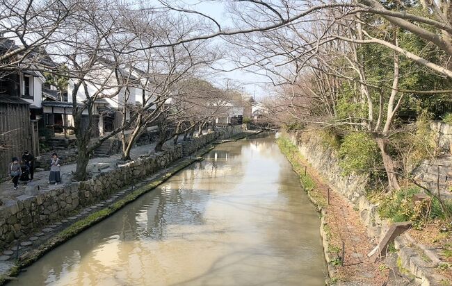 今年の京都遠征は滋賀、近江八幡で前泊<br />偶然左義長祭りに遭遇した。