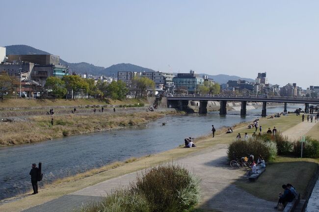 京阪五条駅下車、遅めのランチを街かど屋で。卵焼き＆かつおたたき定食（990円、添えてある生わかめ美味しい！ごはんおかわり自由）を食し、鴨川沿いを北上。良い天気で川べりに腰掛ける人多数。観光客多し。アジア、欧米？半々くらいかな。<br />川に面した建物はおしゃれな造りが多く、見て歩きだけで楽しい。<br />