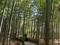 ふらっと鎌倉　八幡宮、荏柄天神、報国寺