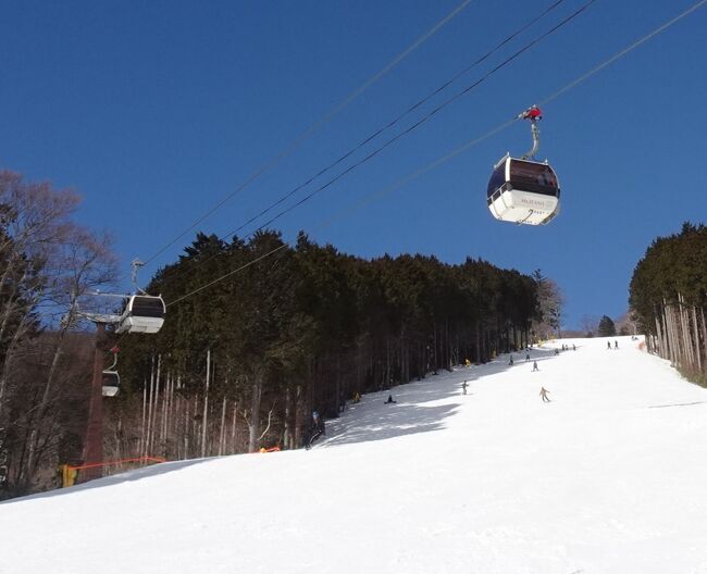 いよいよスキーです。<br />今シーズンは４回目。<br />今年で閉鎖になってしまうマウントジーンズ那須です。<br />栃木県にあるスキー場は、都心からのアクセスも良く、早朝に横浜を出てスキー場に行って滑ることも可能なエリアです。<br />でも２０００年以降、メイプルヒル、鶏頂山、霧降高原など、過去行ったことあるスキー場もどんどん閉鎖になっています。<br />そしてとうとう、常連のように通っていたこのマウントジーンズスキーリゾート那須も今シーズンで営業終了。<br />残念ですが仕方がないですね。<br />都心からアクセスが良く、以前はハーヴェスト那須からの宿泊者向け無料送迎バスもありました。<br />中規模なスキー場で急斜面はありませんが、最長滑走距離は２０００mで、晴れた日の眺望がいい、気持ちのいいスキー場です。<br />初夏にはゴヨウツツジ、秋は紅葉が奇麗で、ゴンドラからの景色が最高でした。<br />暖冬による雪不足が閉鎖の原因のようです。<br />営業終了後はリフトなどの施設を取り壊し、ゲレンデに植林のうえ、土地を国に返還するそうです。国有地だったのですね。。<br /><br />今回は１月末なのに、春スキーのようなゲレンデコンディション。<br />所々に土が見えてます。<br />これでは閉鎖も仕方ないですね。。。<br /><br />長い間、お世話になりました。