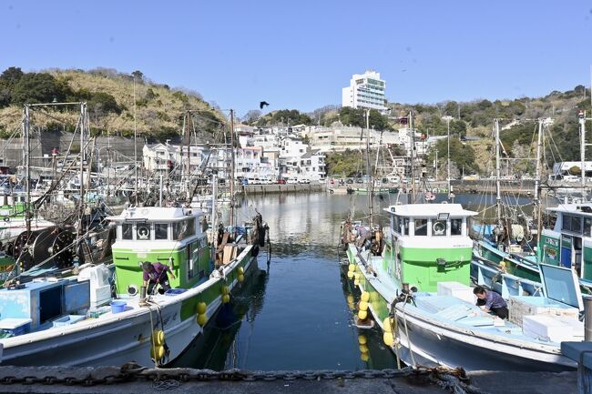 漁港に横付けされた漁船から、ぴちぴちの鮮魚を漁師さんが直接販売『雑賀崎漁港』