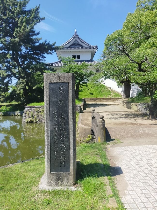 関東のお城巡りシリーズです。まだまだ100・続100名城の取りこぼしがあります。ジメジメの梅雨になる前にひとっ走り行ってきました。