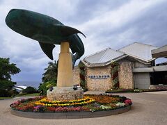 ベリッシマ　乗船前に美ら海水族館へ