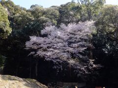 古座川町