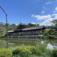 一足先に芸術の秋～京都～