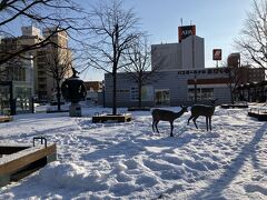 日本横断　東根室からたびら平戸口　根室から帯広　その3